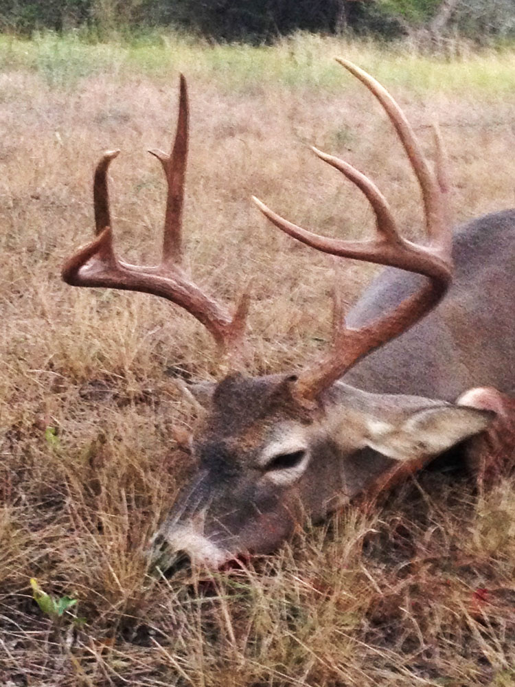 ten point at harvest