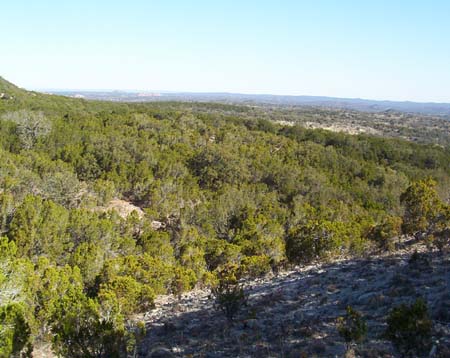 View from Hill 4